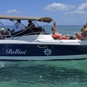 Your Private Boat Escape: Dolphin Dreams & Tropical Lunch on Benitiers Island