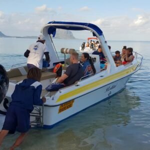 Experience the magic of dolphins in their natural habitat. (Private boat from 7.30 a.m to 10 a.m)