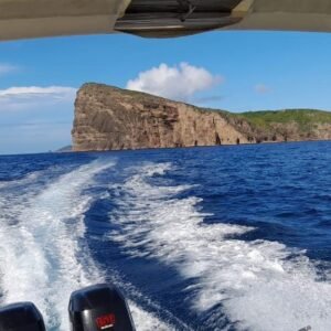 Your Private Boat Escape: Dolphin Dreams & Tropical Lunch on Benitiers Island (From 07.30 a.m to 2 p.m )