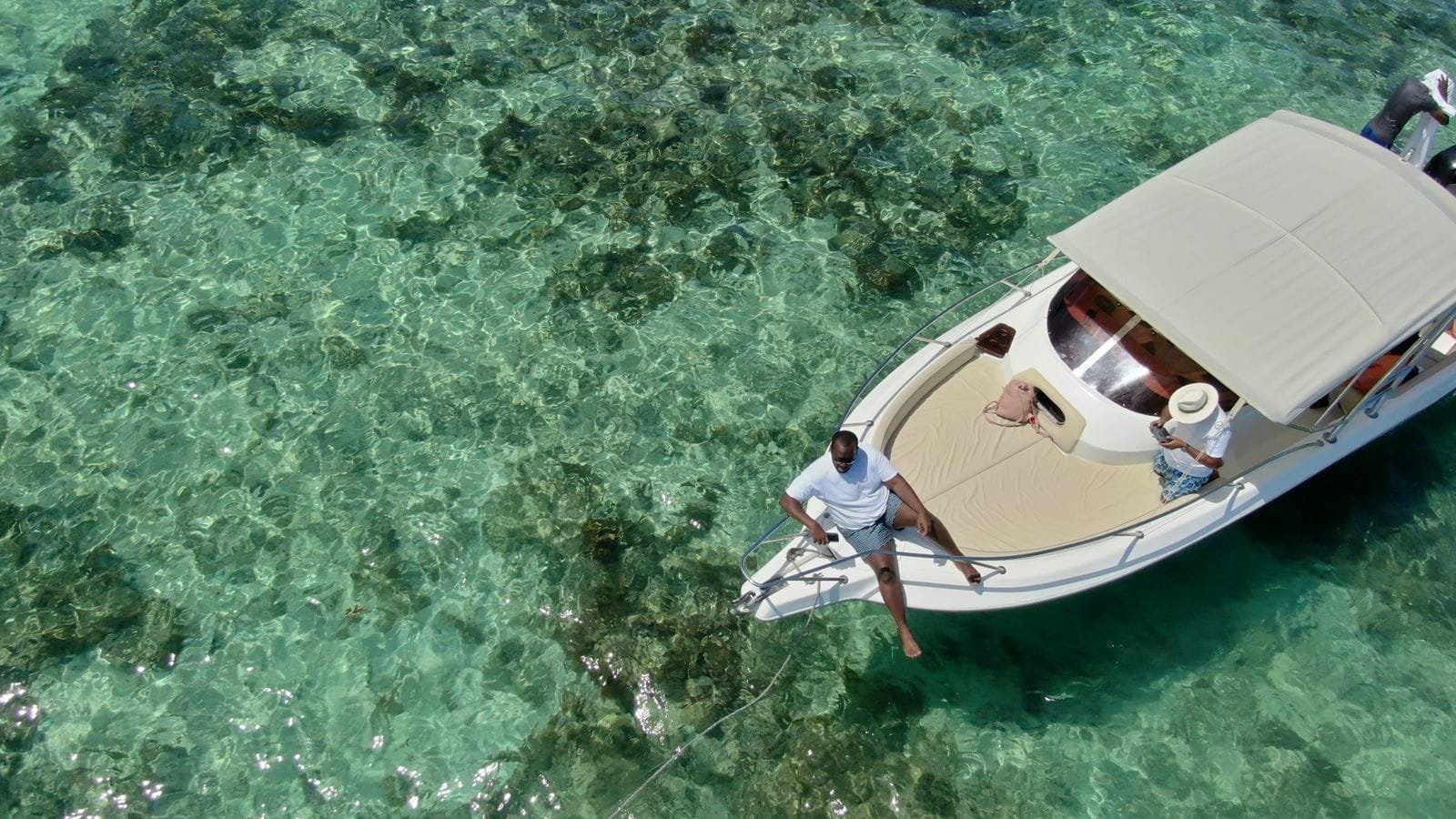 Combined the magic of dolphins & whales experience in their natural habitat. - Image 4